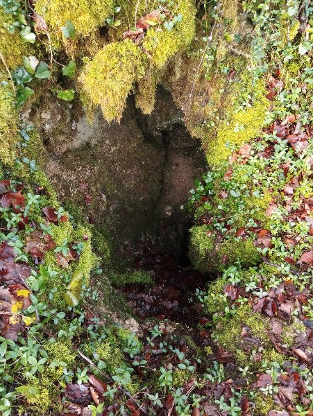 Trou de la Montagne St Laurent (Mesmont) Détail entrée
Puits d'entrée de 4 ou 5 mètres.
Fichier manquant